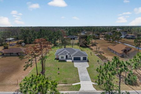 New construction Single-Family house 20252 Quinn St, Orlando, FL 32833 - image