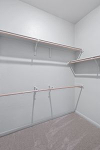 New construction Single-Family house 108 Landry Cv, Georgetown, TX 78628 plan Trenton 2885 S - image 8