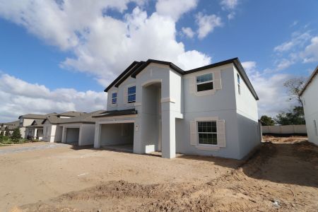 New construction Single-Family house 12176 Hilltop Farms Dr, Dade City, FL 33525 Malibu- photo 81 81