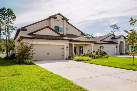 New construction Single-Family house 11468 Weaver Hollow Rd, New Port Richey, FL 34654 Siena- photo 3 3