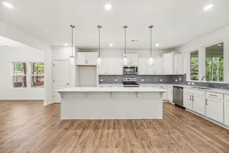 New construction Single-Family house 113 Ute Ln, Louisburg, NC 27549 plan The Huntley - image 4