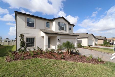 New construction Single-Family house 12219 Hilltop Farms Dr, Dade City, FL 33525 Malibu- photo 136 136