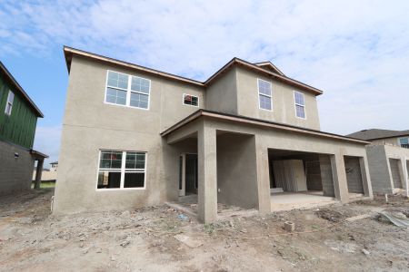 New construction Single-Family house 9489 Seagrass Port Pass, Wesley Chapel, FL 33545 Alenza- photo 9 9