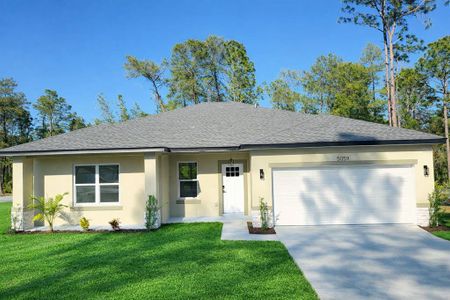 New construction Single-Family house 5059 Sw 166Th Lp, Ocala, FL 34473 - image