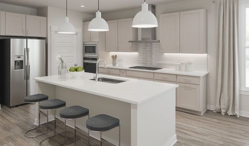 New construction Single-Family house 3106 Kiawa Pointe Ln, Durham, NC 27703 plan The Sapphire - image