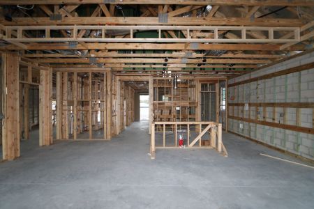 New construction Single-Family house 20050 Oriana Loop, Land O' Lakes, FL 34638 Santa Monica- photo 36 36