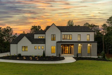 New construction Single-Family house 47 Sagewood Ct, Newnan, GA 30265 - image