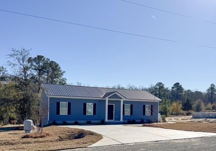 New construction Single-Family house 99 Bomar Pl, Walterboro, SC 29488 - image
