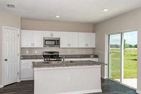 New construction Single-Family house 5512 Taverna Lp, Winter Haven, FL 33884 plan Indigo - image 4