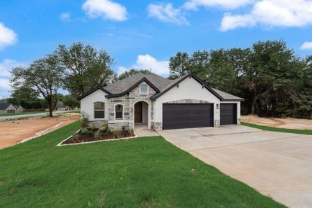 New construction Single-Family house 113 Bitsy, Boyd, TX 76023 - image