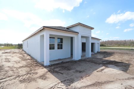 New construction Single-Family house 31119 Hayman Loop, Wesley Chapel, FL 33545 Corina  III- photo 53 53