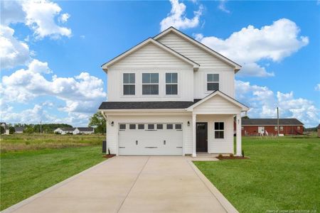 New construction Single-Family house 253 Barberry Rd, Raeford, NC 28376 - image
