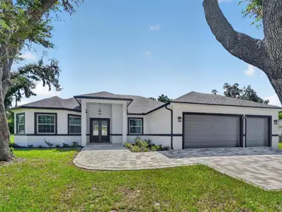 New construction Single-Family house 2302 Allen Dr, Plant City, FL 33563 - image