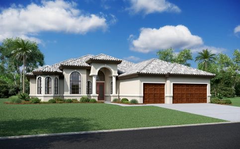 New construction Single-Family house 8201 Tilapia Pl, New Port Richey, FL 34654 plan Palermo - image 4