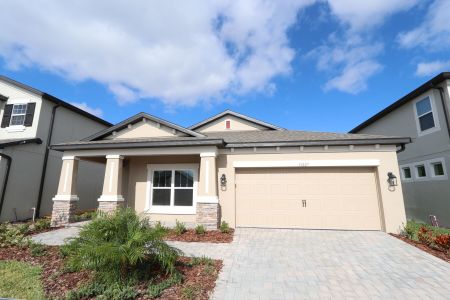 New construction Single-Family house 33227 Amling Pecan Br, Wesley Chapel, FL 33545 Newport II- photo 137 137