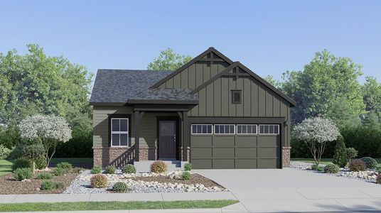New construction Single-Family house 6186 Drum Pl, Loveland, CO 80538 plan Dolly - image