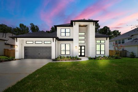 New construction Single-Family house 215 Lilac Tree Ct, Willis, TX 77318 plan Milan 4597 - image