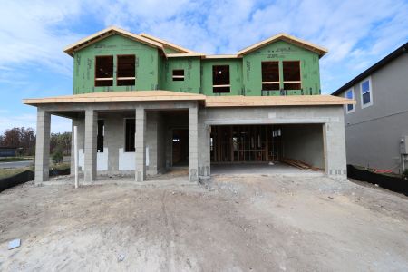 New construction Single-Family house 31205 Denham Ridge Ln, Wesley Chapel, FL 33545 Santa Monica- photo 21 21