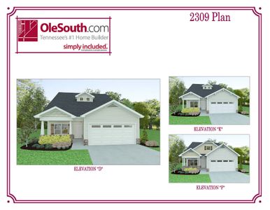 New construction Single-Family house 3481 Manchester Pike, Murfreesboro, TN 37127 plan 2309 Elevation DEF - image