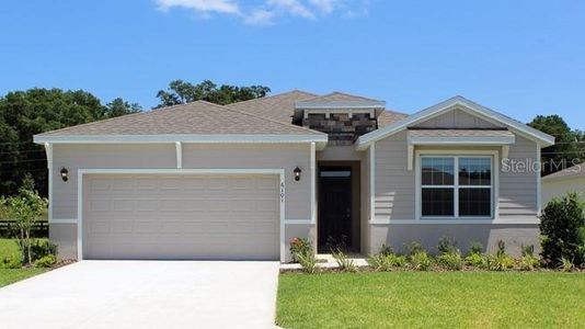 New construction Single-Family house 9342 Sw 60Th Court Road, Ocala, FL 34476 Delray- photo 0