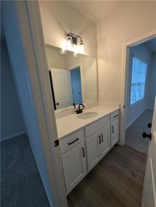 New construction Single-Family house 1317 Sunny Cide Cir, Dacula, GA 30019 - image 4