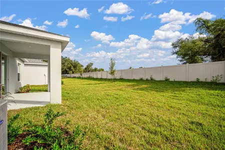 New construction Single-Family house 2949 Stewart Creek Cir, Plant City, FL 33565 - image 2