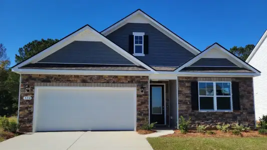 New construction Single-Family house 970 Ireland Dr, Longs, SC 29568 plan Darby - image