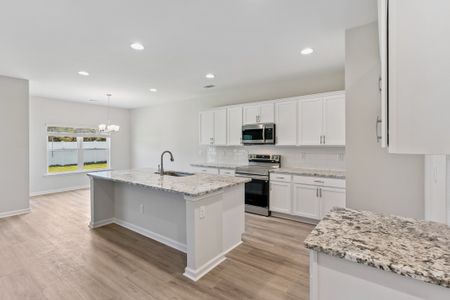 New construction Single-Family house 11033 Woodland Trl, Brunswick, GA 31525 plan The Dogwood - image 10