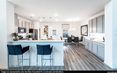 New construction Single-Family house 6519 Scooby Acres, San Antonio, TX 78253 plan Trinity - image 20