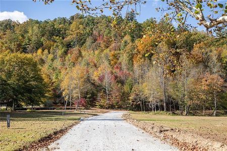 New construction Single-Family house 130 Cove View Ln, Clarkesville, GA 30523 - image 12