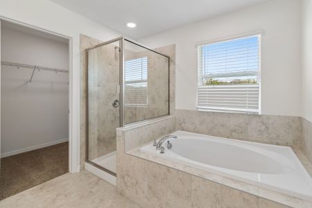 New construction Single-Family house 3195 Fall Harvest Dr, Zephyrhills, FL 33540 plan Marina - image 6