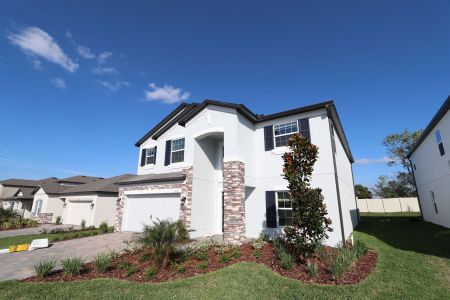 New construction Single-Family house 12176 Hilltop Farms Dr, Dade City, FL 33525 Malibu- photo 182 182