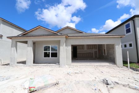 New construction Single-Family house 33227 Amling Pecan Br, Wesley Chapel, FL 33545 Newport II- photo 3 3