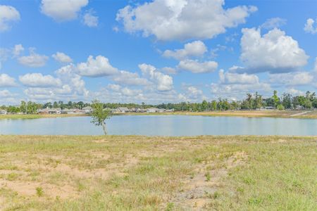 New construction Single-Family house 6138 Hazel Lake Dr, Conroe, TX 77303 - image 20