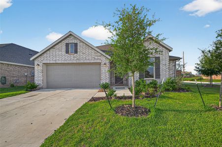 New construction Single-Family house 27222 Woodridge Glen Dr, Katy, TX 77493 plan Chrysanthemum - image