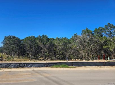 New construction Single-Family house 8155 Blue Oak Way, San Antonio, TX 78266 Dijon- photo 2 2