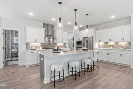 New construction Single-Family house 9101 Dupree Mdw Dr, Unit 43, Angier, NC 27501 - image 15