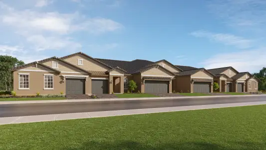 New construction Single-Family house 9108 Minnow Ray Dr, Land O' Lakes, FL 34638 plan Daybreak II - image