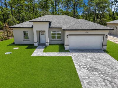 New construction Single-Family house 8753 N Raidin Dr, Citrus Springs, FL 34433 - image