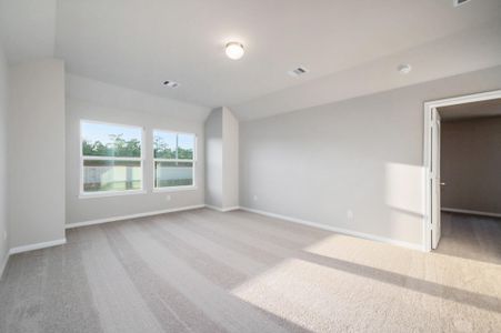 New construction Single-Family house 13006 Laura Lk, Willis, TX 77318 - image 12