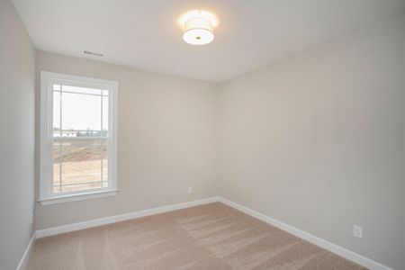 New construction Single-Family house 20 Shore Pine Dr, Youngsville, NC 27596 plan The Madison - image 20