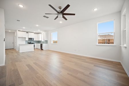 New construction Single-Family house 168 Rieber Rd, Kyle, TX 78640 plan Paintbrush - image 10