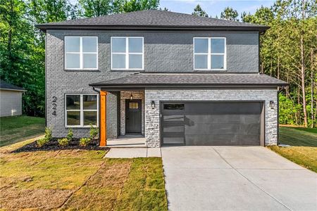 New construction Single-Family house 224 Galway Ln, Hampton, GA 30228 - image