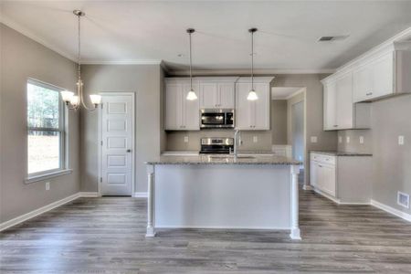 New construction Single-Family house 169 Elivia Way, Dallas, GA 30132 null- photo 17 17