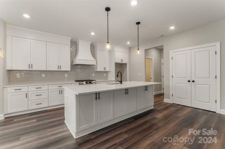 Huge double door pantry and "tons" of kitchen cabinet space (Representative Photo)