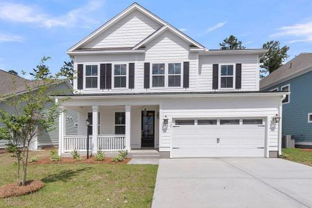 New construction Single-Family house 4 Kings River Trl, Hollywood, SC 29449 - image