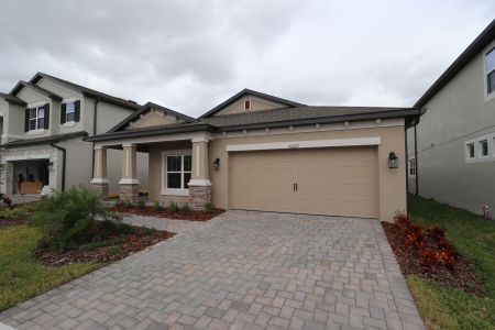 New construction Single-Family house 33227 Amling Pecan Br, Wesley Chapel, FL 33545 Newport II- photo 142 142