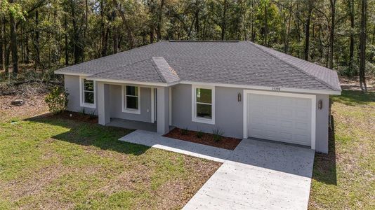 New construction Single-Family house 15664 Sw 28Th Ln, Ocala, FL 34481 - image