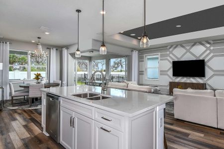 Serenoa Lakes by Pulte Homes in Clermont - photo 25 25