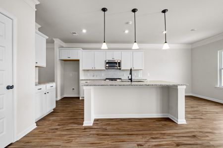 New construction Single-Family house 117 Townsend Wy, Unit 229, Chapel Hill, TN 37034 plan The Harrington - image 5